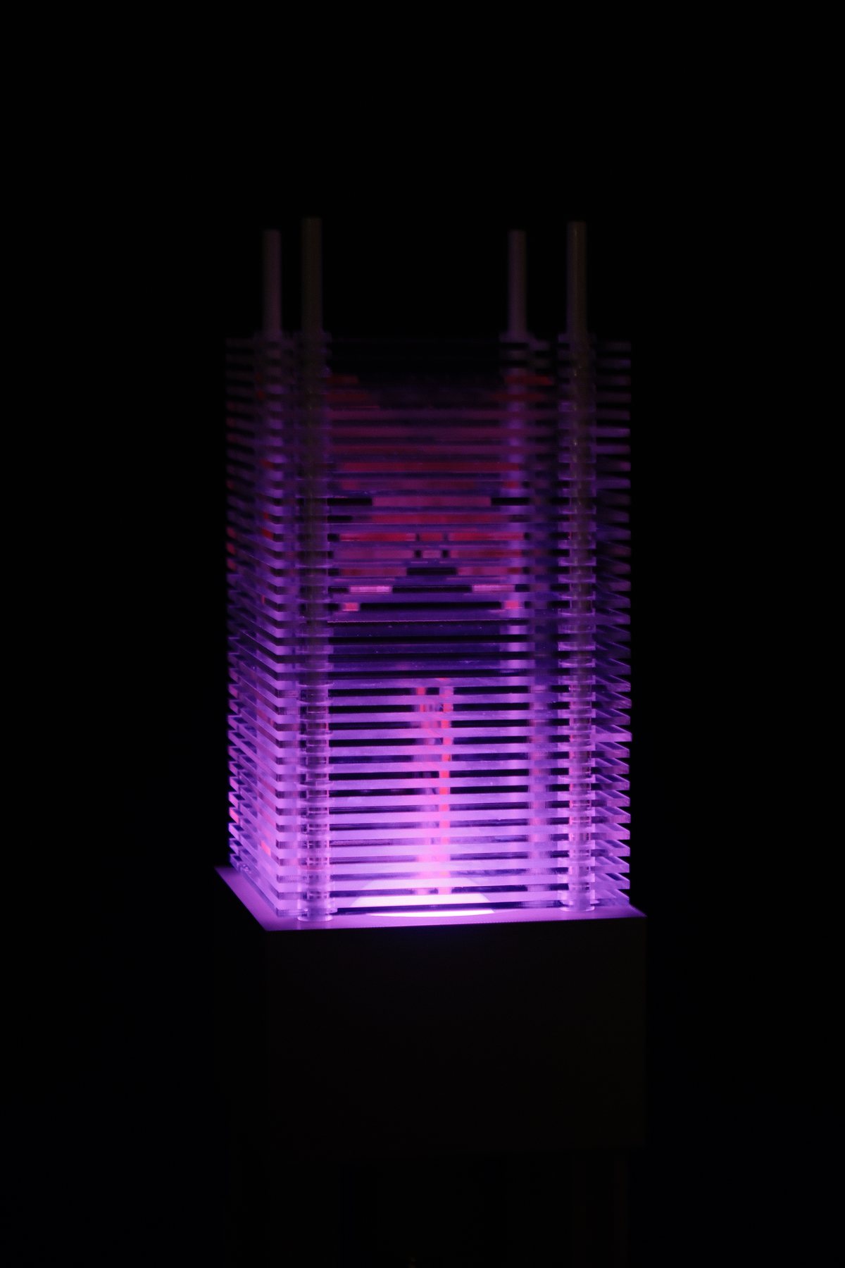 Patterned lamp illuminated in pink