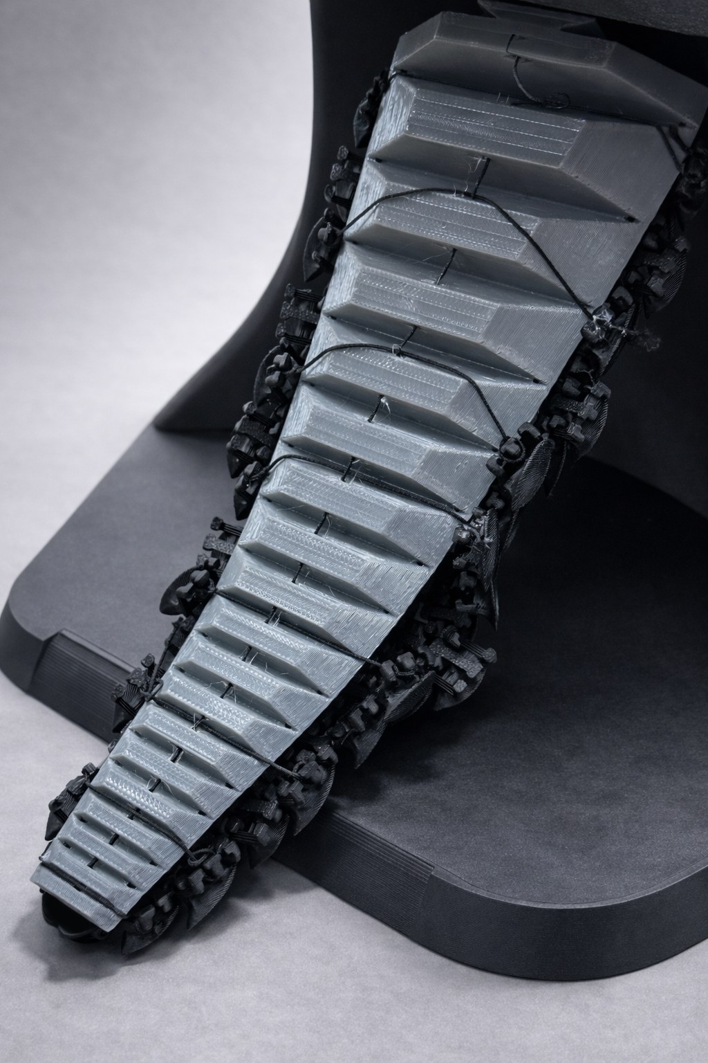 Underside of the released tail showing its segmented flexible construction